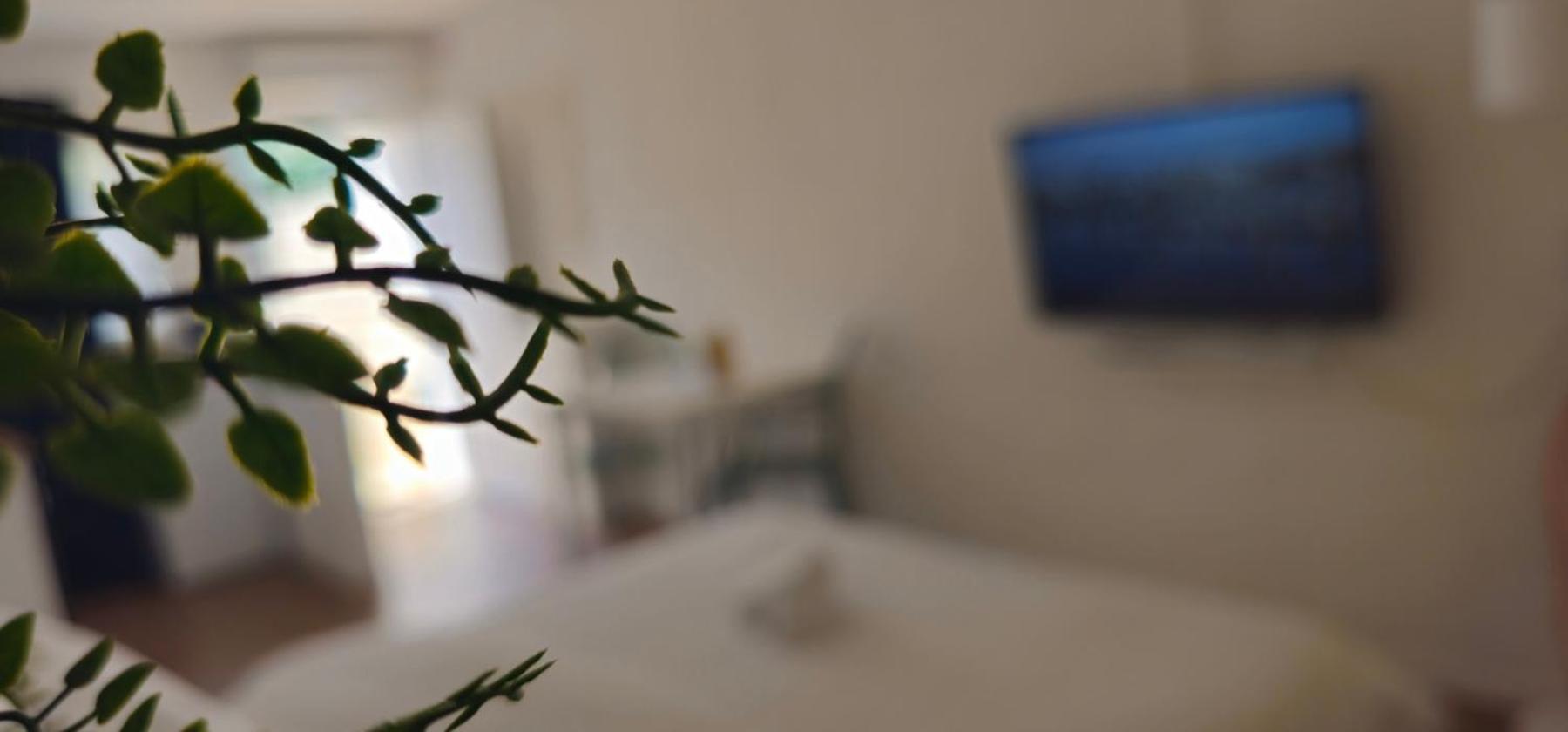 Kadenca Apartment Umag Cameră foto